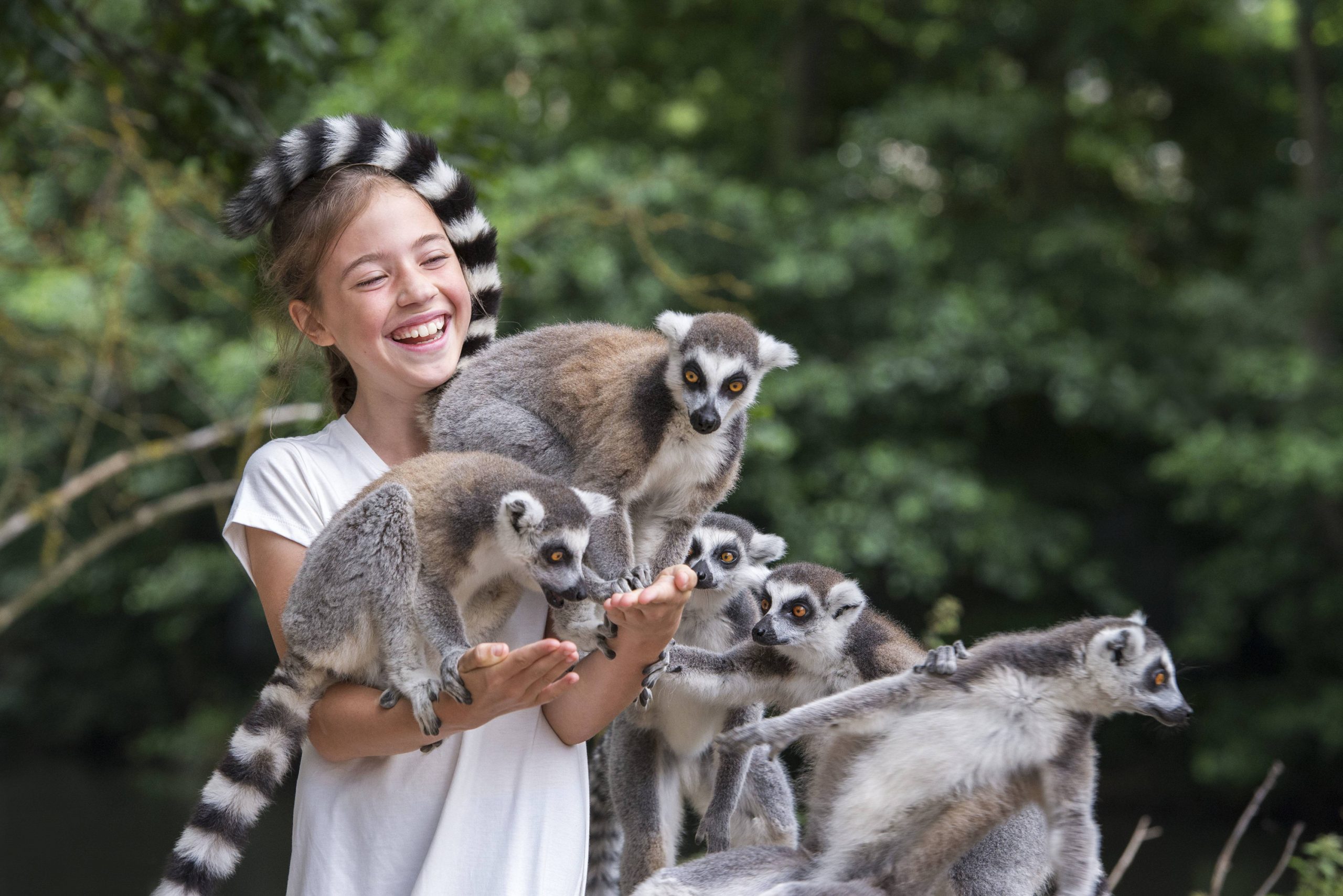 Lemur Village Playground photo